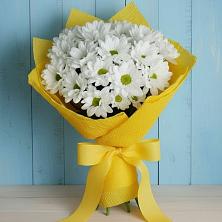 Букет цветов из:  Хризантемы в Краснослободске Республики Мордовия