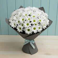 Букет цветов из:  Хризантемы в Краснослободске Республики Мордовия