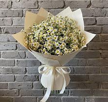 Букет цветов из:  Ромашки в Краснослободске Республики Мордовия