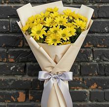 Букет цветов из:  Хризантемы в Краснослободске Республики Мордовия
