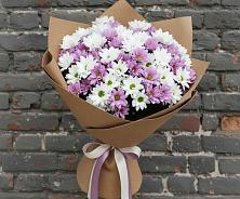 Букет цветов из:  Хризантемы в Краснослободске Республики Мордовия