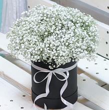 Цветочная композиция из Гипсофила в шляпной коробке #REPLACE_PRED# Краснослободске Республики Мордовия