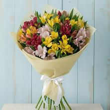 Букет цветов из:  Альстромерии #REPLACE_PRED# Краснослободске Республики Мордовия
