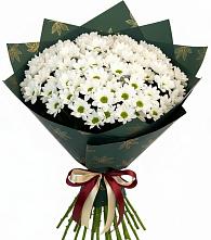 Букет цветов из:  Хризантемы в Краснослободске Республики Мордовия