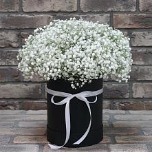 Цветочная композиция из Гипсофила в шляпной коробке #REPLACE_PRED# Краснослободске Республики Мордовия