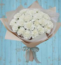 Букет цветов из:  Гвоздики в Краснослободске Республики Мордовия