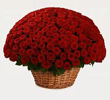 Премиум букет из: Розы #REPLACE_PRED# Краснослободске Республики Мордовия
